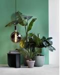 Bombilla LED decorativa MANHATTAN