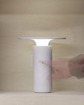 NAIS portable lamp