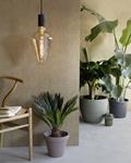 Bombilla LED decorativa VIENNA