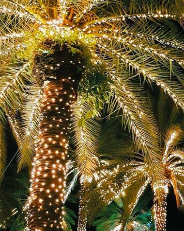 12m LED garland | GUIRNALDA/LED/12M/VERDE/FRIO/603030/602999 | Keisu, lighting and design.